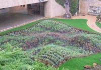 Davidson Plant Tartan