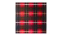 Tartan Bruce