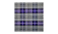 Tartan Napier