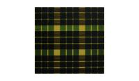 Tartan Raeburn